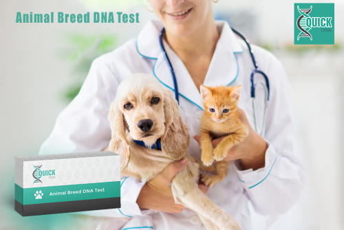 Quais critérios devem ser considerados ao escolher um teste de DNA em genética animal?