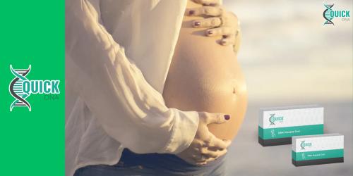 É possível realizar um teste de paternidade pré-natal durante a gravidez?